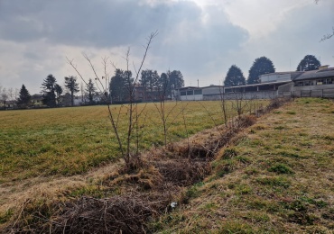 CASTANO PRIMO, Lombardia, ,Terreno,Vendita,2714