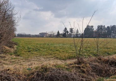 CASTANO PRIMO, Lombardia, ,Terreno,Vendita,2714