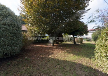 Dormelletto, Lombardia, 2 Camere Letto Camere Letto, 3 Stanze Stanze,1 BagnoBagni,Porzione Bifamiliare,Vendita,3182