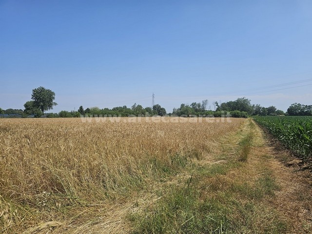 Busto Arsizio, Lombardia, ,Terreno,Vendita,3308