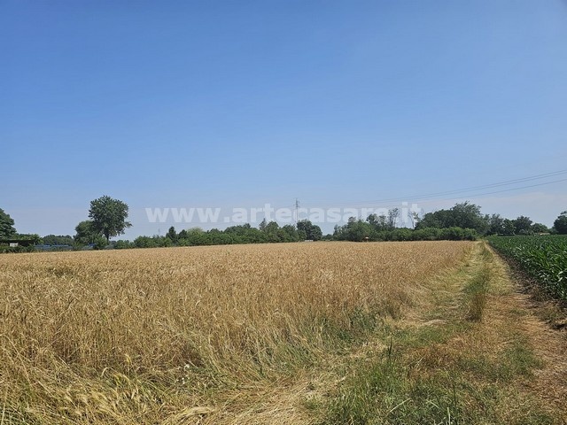 Busto Arsizio, Lombardia, ,Terreno,Vendita,3308