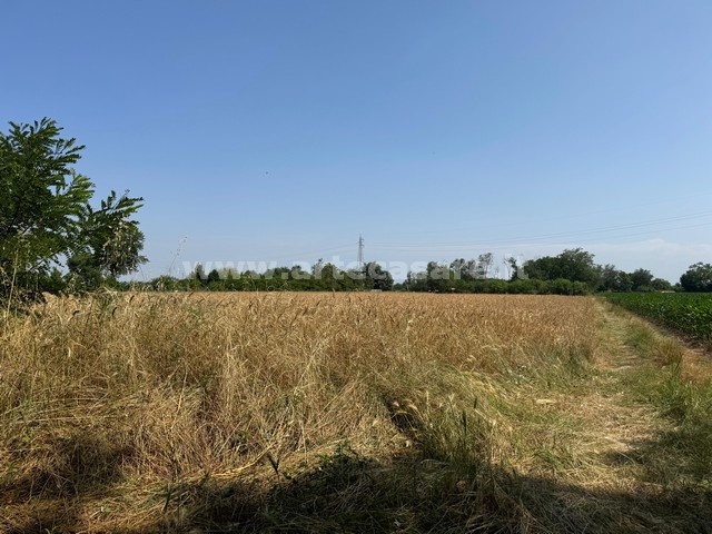 Busto Arsizio, Lombardia, ,Terreno,Vendita,3308