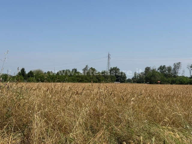 Busto Arsizio, Lombardia, ,Terreno,Vendita,3308