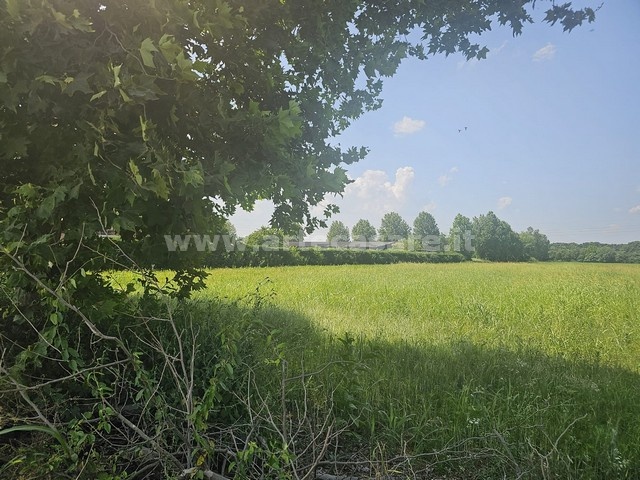 Busto Arsizio, Lombardia, ,Terreno,Vendita,3309