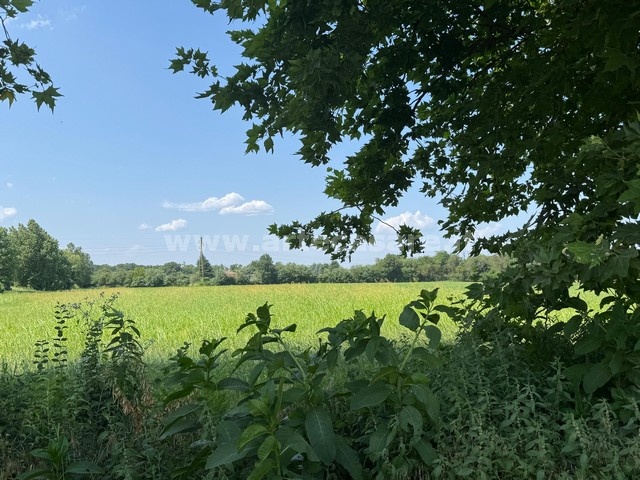 Busto Arsizio, Lombardia, ,Terreno,Vendita,3309