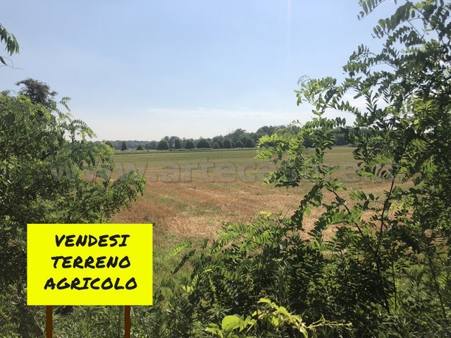 Cerro Maggiore, Lombardia, ,Terreno,Vendita,3312