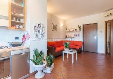 Busto Garolfo, Lombardia, 1 Camera da Letto Camere Letto, 2 Stanze Stanze,1 BagnoBagni,Appartamento,Vendita,3360