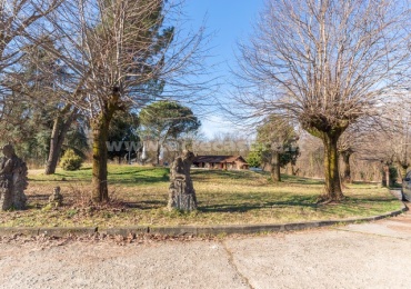 Magnago, Lombardia 20020, 2 Stanze da Letto Stanze da Letto, 3 Stanze Stanze,1 BagnoBathrooms,Appartamento,Vendita Usato,0,3431