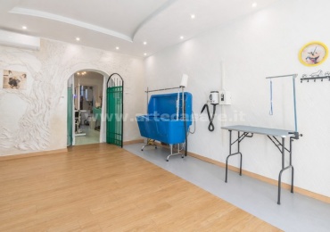 Samarate, Lombardia, 2 Stanze Stanze,1 BagnoBathrooms,Negozio,Vendita Usato,0,3453 Samarate, Lombardia, 2 Stanze Stanze,1 BagnoBathrooms,Negozio,Vendita Usato,0,3453