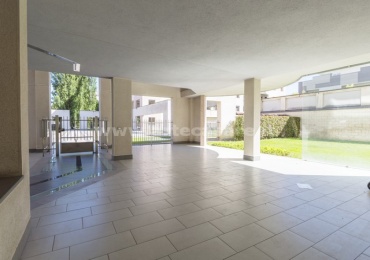 Busto Arsizio, Lombardia, 1 Stanza Stanze,1 BagnoBathrooms,Ufficio,Affitto,0,3486