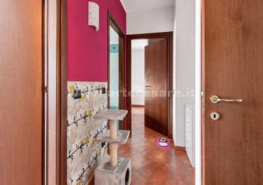 San Giorgio su Legnano, Lombardia, 2 Stanze da Letto Stanze da Letto, 3 Stanze Stanze,2 BathroomsBathrooms,Appartamento,Vendita Usato,0,3498 San Giorgio su Legnano, Lombardia, 2 Stanze da Letto Stanze da Letto, 3 Stanze Stanze,2 BathroomsBathrooms,Appartamento,Vendita Usato,0,3498