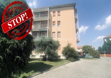 Canegrate, Lombardia, 1 Camera da Letto Stanze da Letto, 2 Stanze Stanze,1 BagnoBathrooms,Appartamento,Vendita Usato,0,3500 Canegrate, Lombardia, 1 Camera da Letto Stanze da Letto, 2 Stanze Stanze,1 BagnoBathrooms,Appartamento,Vendita Usato,0,3500