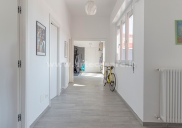 Legnano, Lombardia, 5 Stanze Stanze,4 BathroomsBathrooms,Capannone,Vendita Usato,0,3532 Legnano, Lombardia, 5 Stanze Stanze,4 BathroomsBathrooms,Capannone,Vendita Usato,0,3532