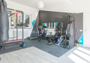 Legnano, Lombardia, 5 Stanze Stanze,4 BathroomsBathrooms,Capannone,Vendita Usato,0,3532 Legnano, Lombardia, 5 Stanze Stanze,4 BathroomsBathrooms,Capannone,Vendita Usato,0,3532